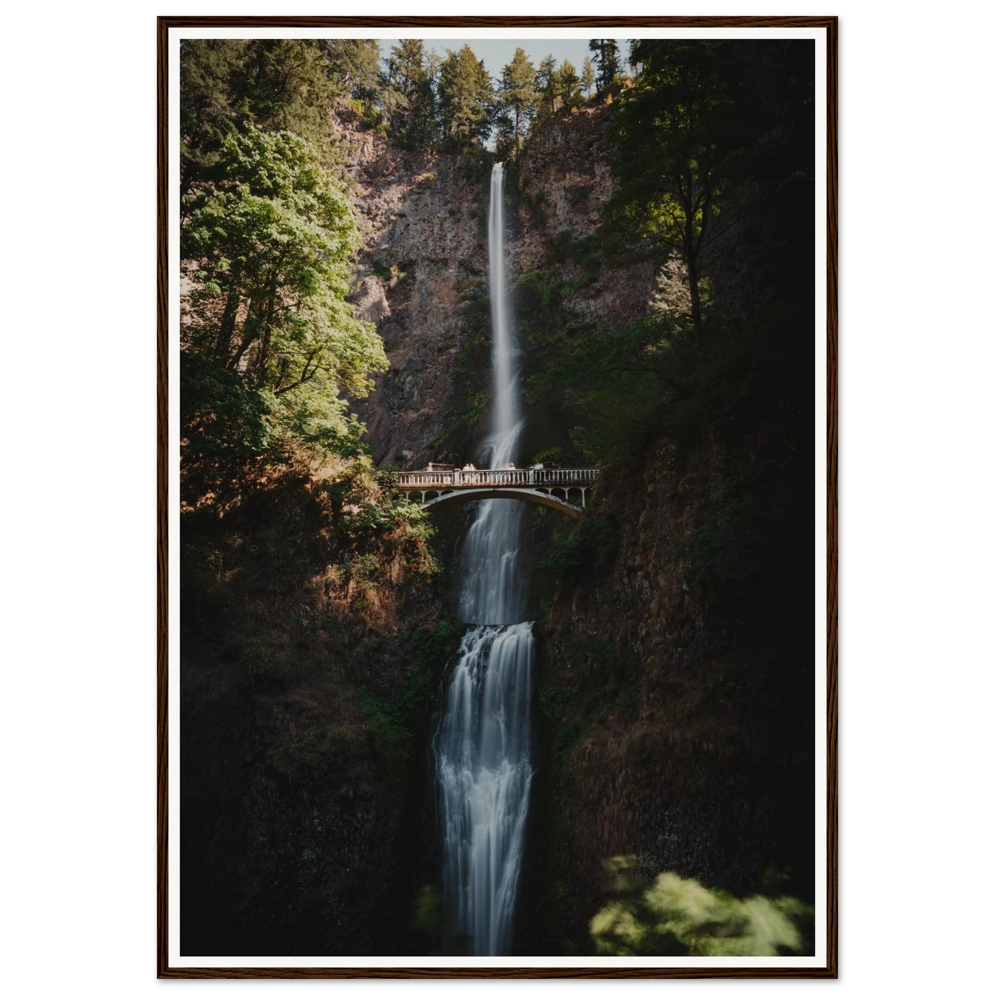 93d14437-f888-4e00-a260-50f6e78fbcb8